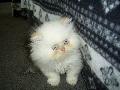 Rony
